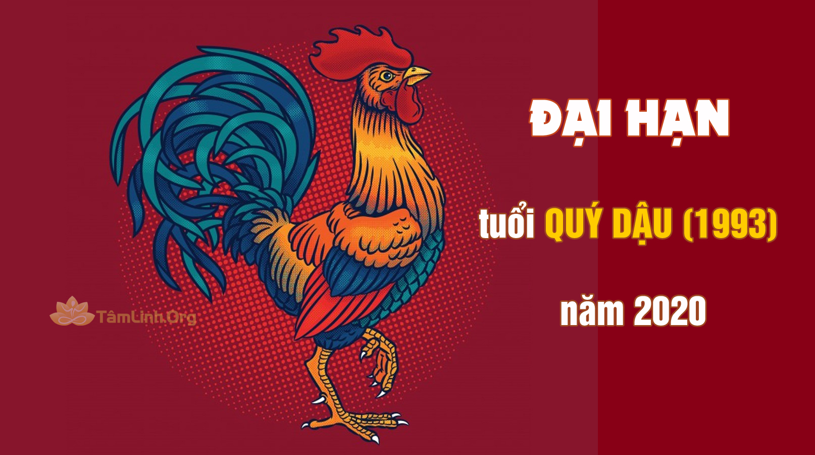 Tử Vi Quý Dậu